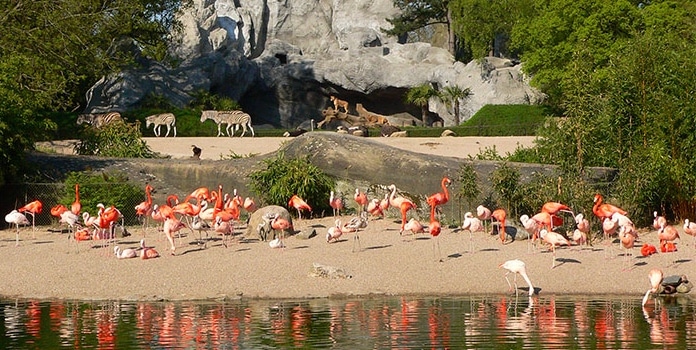 Tierpark Hagenbeck Afrika Welt