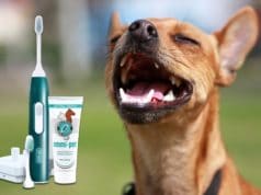 Emmi Pet Zahnbürste für Hunde