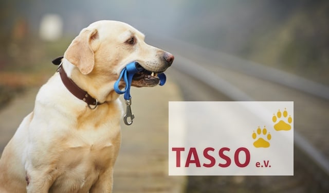 Tasso e.V. → Wie sinnvoll das Register für Haustiere?
