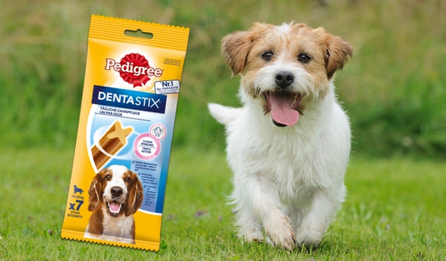 Pedigree DentaStix TEST: zur Zahnpflege für Hunde