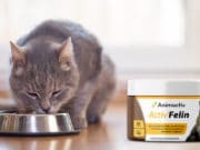 Activ Felin Nahrungsergänzung für Katzen