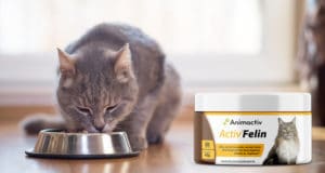 Activ Felin Nahrungsergänzung für Katzen