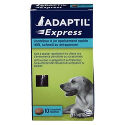 Adaptil Express-Tabletten für Hunde