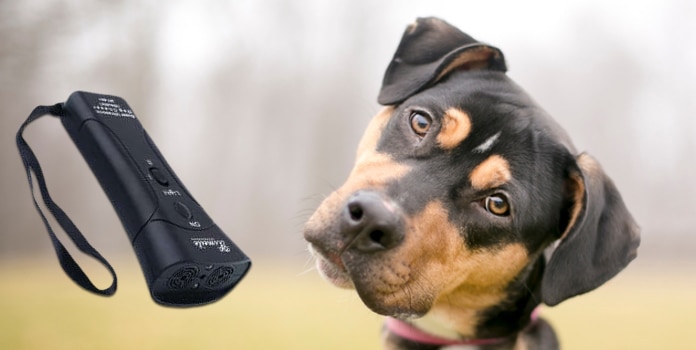 Barx-Buddy Wirkung gegen Hundegebell